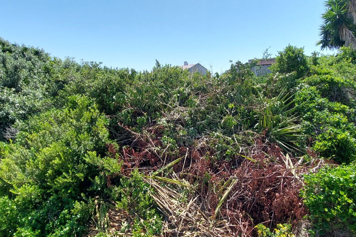 Vacant Land for Sale – Santareme, St Francis Bay - Photo 4