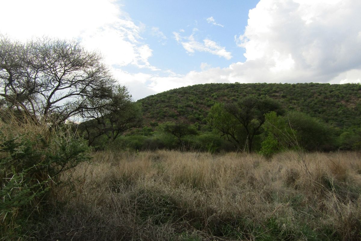 A scenic view of natural hillside terrain and native vegetation on the vacant residential land.