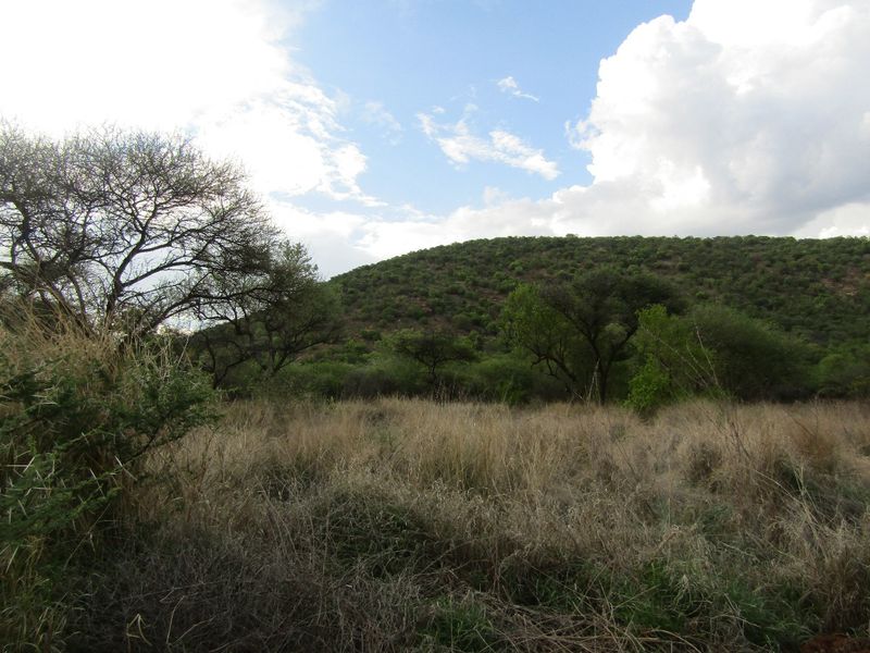 A scenic view of natural hillside terrain and native vegetation on the vacant residential land.