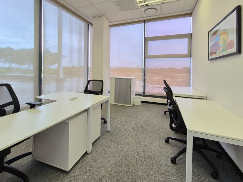 A bright, modern commercial office space featuring large floor-to-ceiling windows with roller blinds, suspended ceilings, and neutral carpeted flooring.