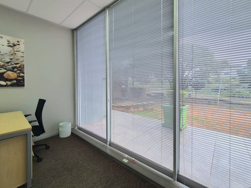 A bright office space featuring large floor-to-ceiling windows with fitted venetian blinds, carpeted flooring, and a suspended ceiling grid.