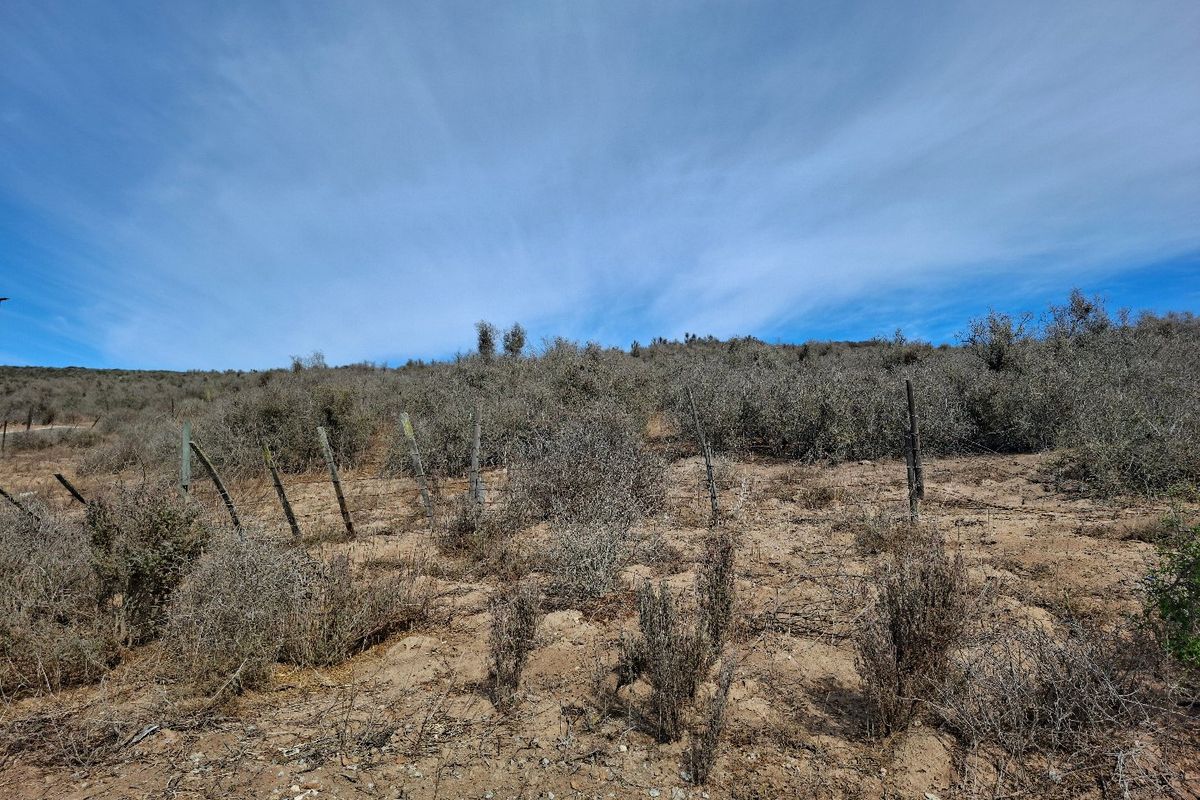 Elevated Sea-Facing Stand in Welgedaan Estate - Photo 4