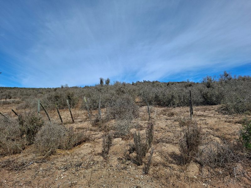 Elevated Sea-Facing Stand in Welgedaan Estate - Photo 4