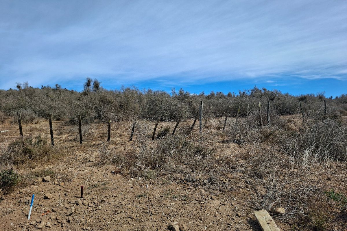 Elevated Sea-Facing Stand in Welgedaan Estate - Photo 2