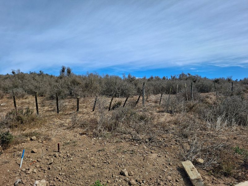 Elevated Sea-Facing Stand in Welgedaan Estate - Photo 2