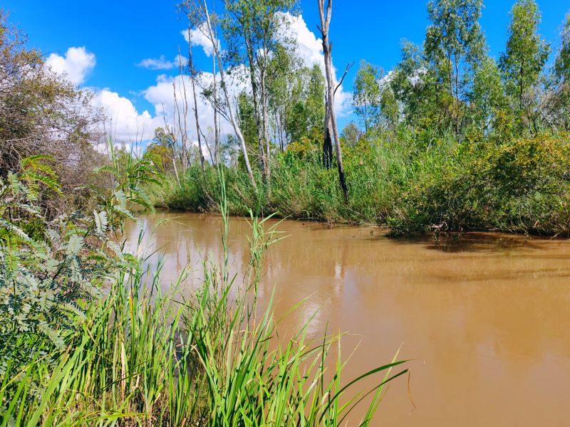Irrigation/Cattle farm for sale, Alma/Modimolle - Photo 10