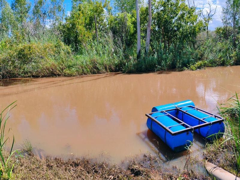 Irrigation/Cattle farm for sale, Alma/Modimolle - Photo 9