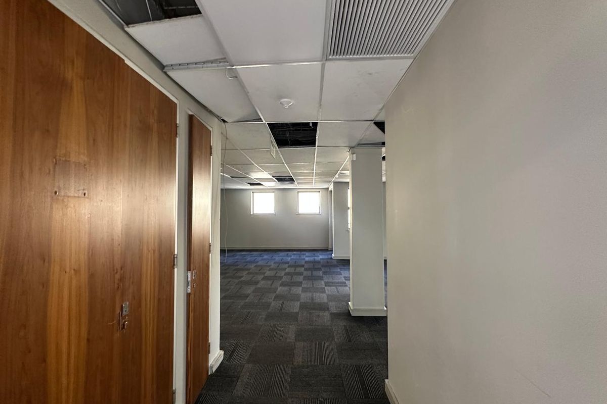 A-grade office to rent in 29 Scott Street, Waverley, Melrose  - Photo 5