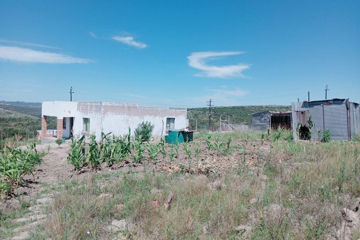 2 bedroom house Msintsi rural - Photo 4