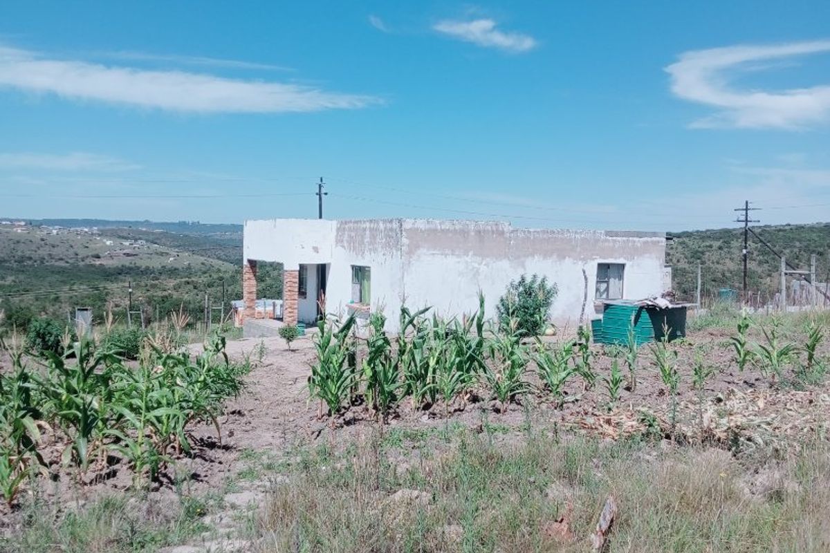 2 bedroom house Msintsi rural - Photo 5