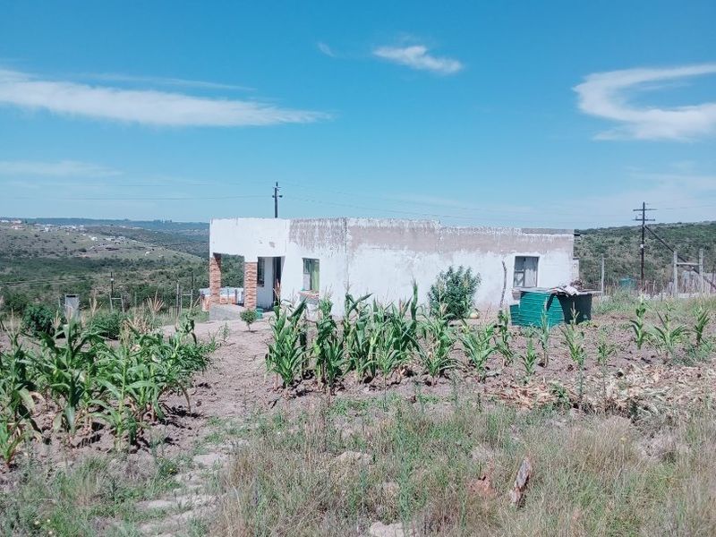 2 bedroom house Msintsi rural - Photo 5