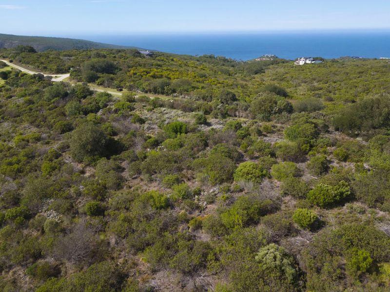 North facing Phase 3 plot - Photo 5