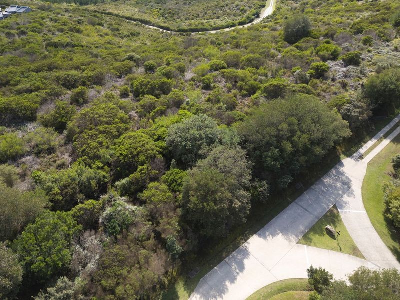 North facing Phase 3 plot - Photo 4