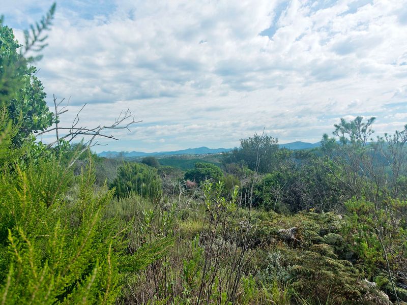 North facing Phase 3 plot - Photo 9