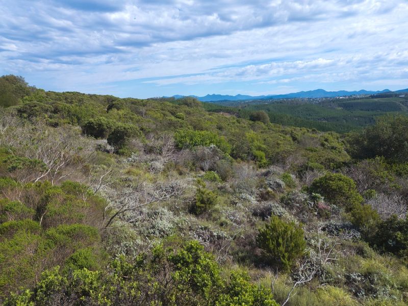 North facing Phase 3 plot - Photo 8