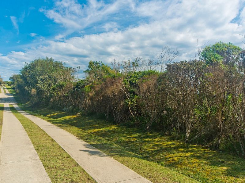 North facing Phase 3 plot - Photo 7
