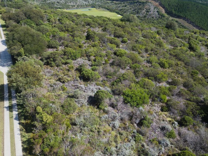 North facing Phase 3 plot - Photo 6