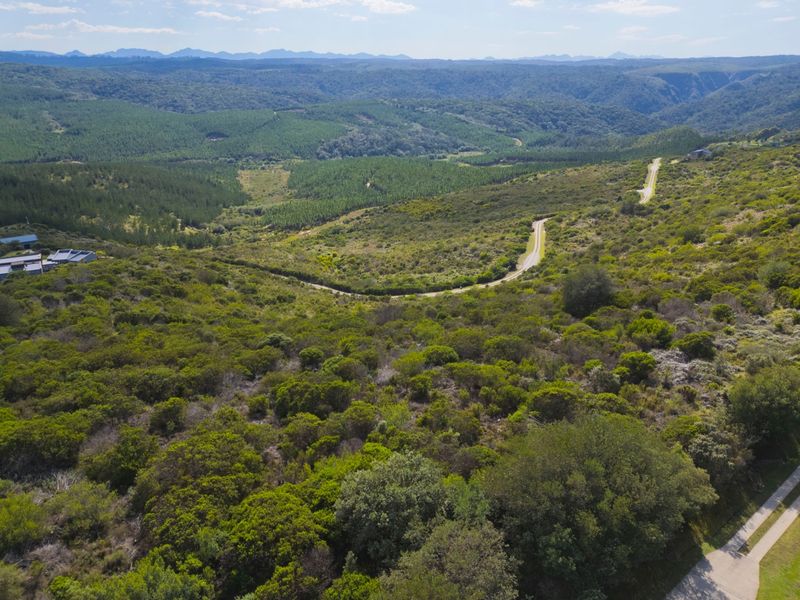 North facing Phase 3 plot - Photo 3