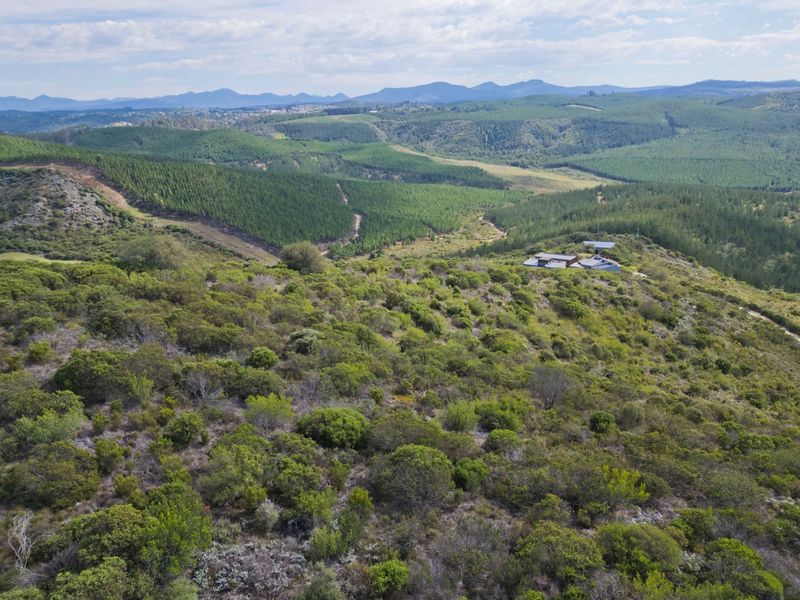 North facing Phase 3 plot - Photo 2