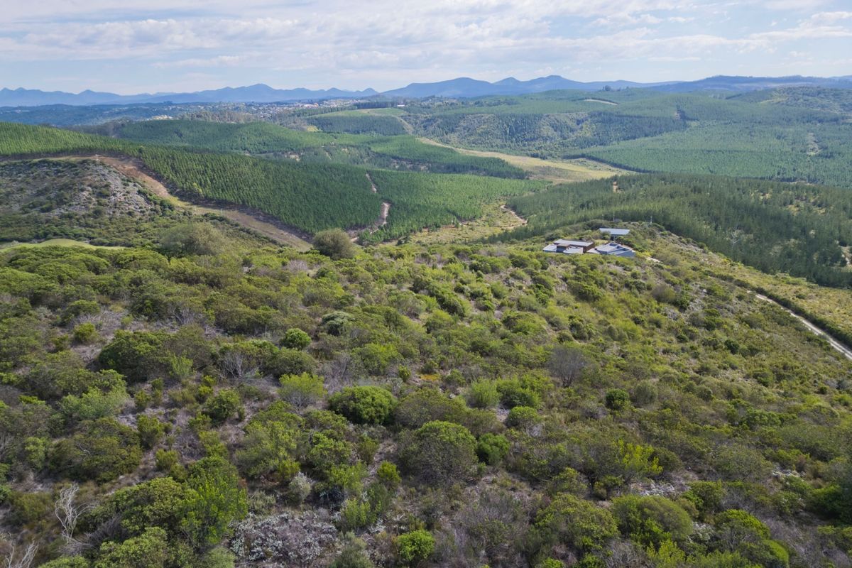 An aerial view of the expansive, naturally vegetated vacant land featuring rolling hills and scenic mountain vistas.
