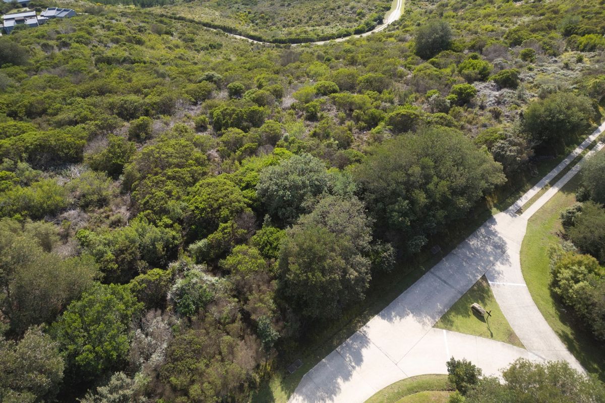 Aerial view of a vacant residential plot featuring established native vegetation and access to a paved driveway.