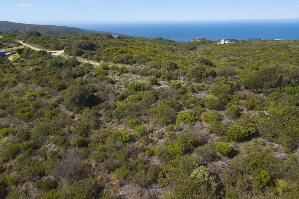 An aerial view of a large, undeveloped residential plot featuring native coastal vegetation and distant ocean views.
