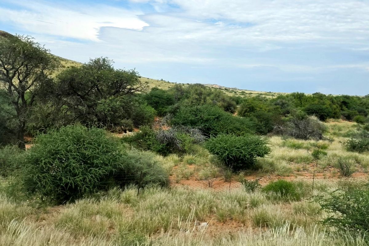 Northern Cape Grazing Gem Between Upington and Lutzputs – 5,054ha Semi-Desert Farm with Reliable Water & Development Potential - Photo 5