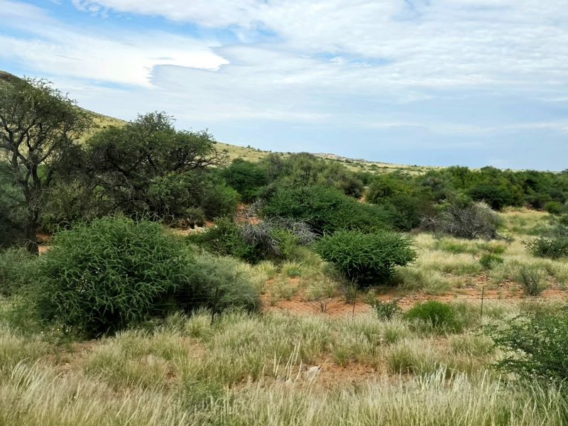 Northern Cape Grazing Gem Between Upington and Lutzputs – 5,054ha Semi-Desert Farm with Reliable Water & Development Potential - Photo 5