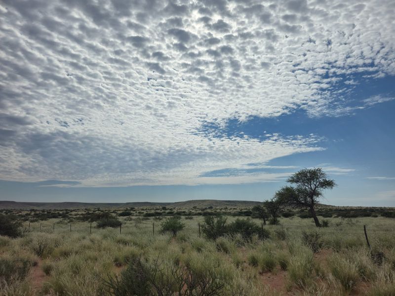 Northern Cape Grazing Gem Between Upington and Lutzputs – 5,054ha Semi-Desert Farm with Reliable Water & Development Potential - Photo 10