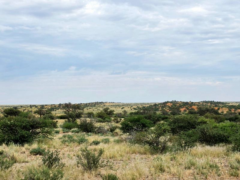 Northern Cape Grazing Gem Between Upington and Lutzputs – 5,054ha Semi-Desert Farm with Reliable Water & Development Potential - Photo 9