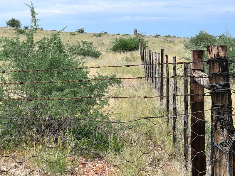 Northern Cape Grazing Gem Between Upington and Lutzputs – 5,054ha Semi-Desert Farm with Reliable Water & Development Potential - Photo 8