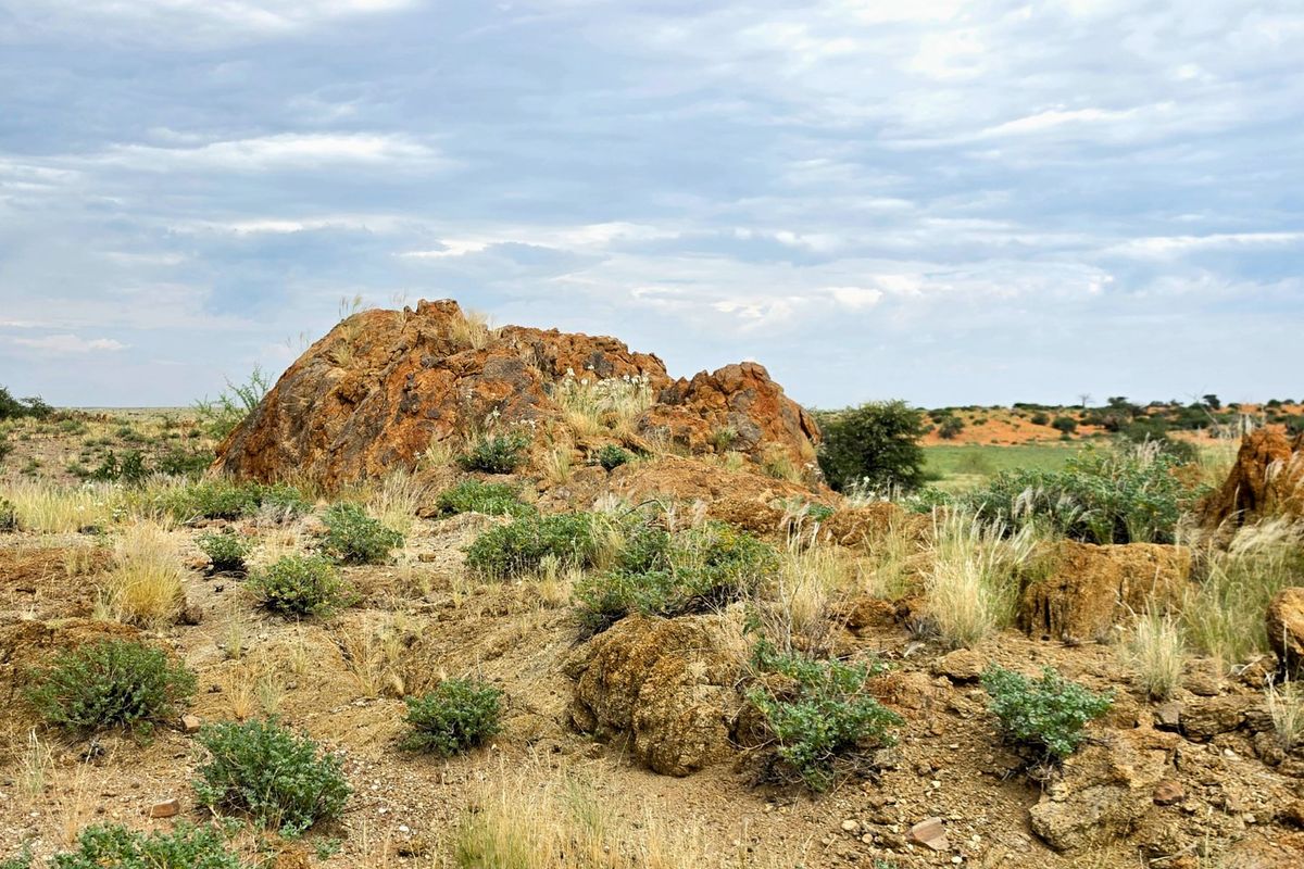 Northern Cape Grazing Gem Between Upington and Lutzputs – 5,054ha Semi-Desert Farm with Reliable Water & Development Potential - Photo 4