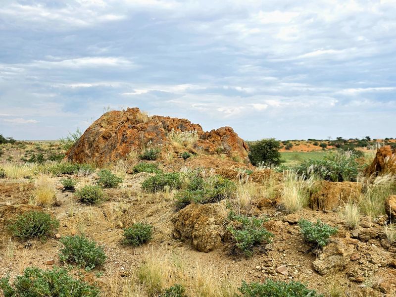 Northern Cape Grazing Gem Between Upington and Lutzputs – 5,054ha Semi-Desert Farm with Reliable Water & Development Potential - Photo 4