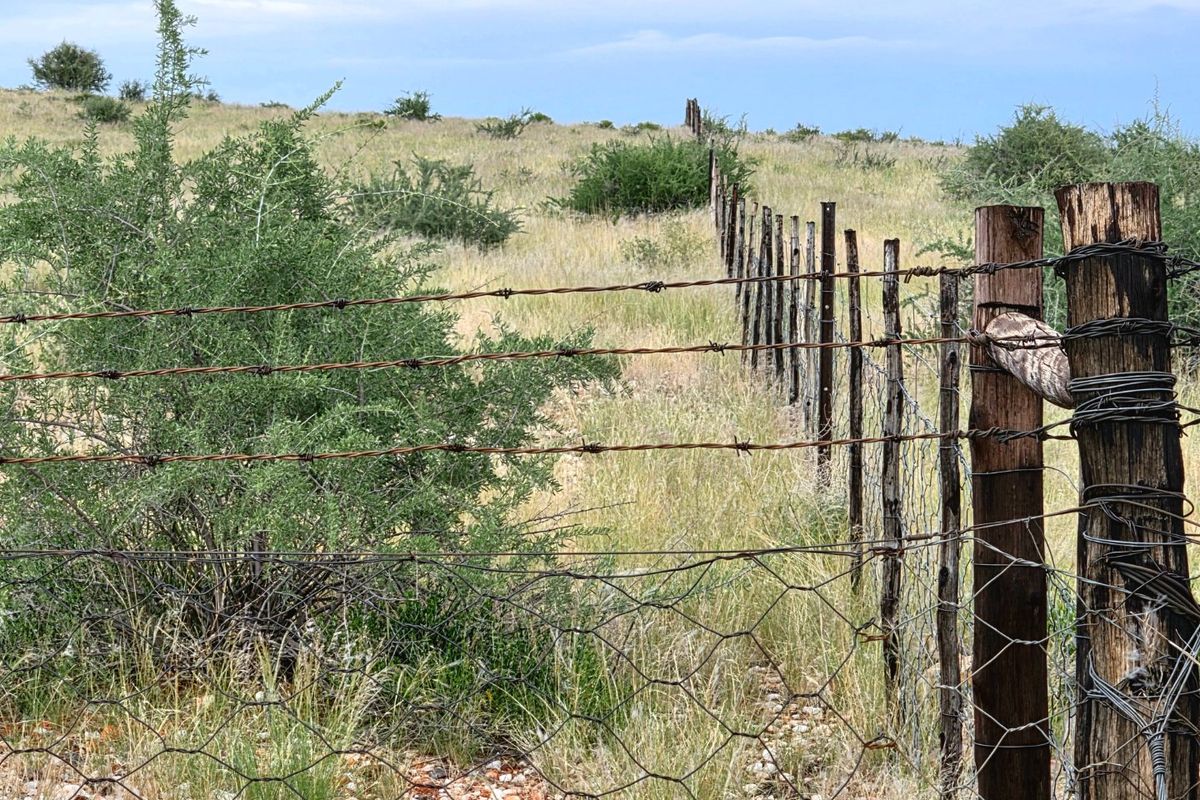 A view of the farm boundary featuring weathered wooden fence posts with rusted barbed wire and wire mesh fencing across the open landscape.
