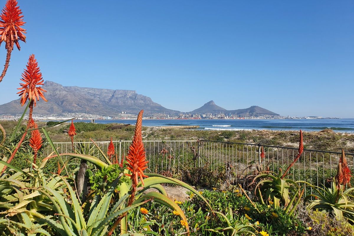 CAPE TOWN HOLIDAY APARTMENT - INVESMENT OPPORTUNITY - Photo 2