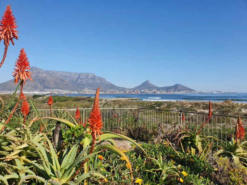CAPE TOWN HOLIDAY APARTMENT - INVESMENT OPPORTUNITY - Photo 2