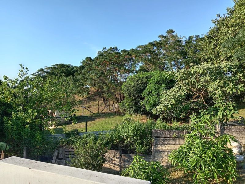 Two for the Price of One. - Photo 8