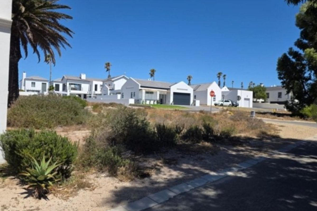 A street-level view of a residential neighbourhood featuring modern white houses, paved roads, and established landscaping under a clear blue sky.