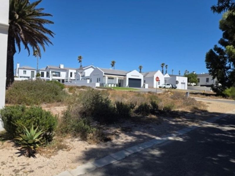 A street-level view of a residential neighbourhood featuring modern white houses, paved roads, and established landscaping under a clear blue sky.
