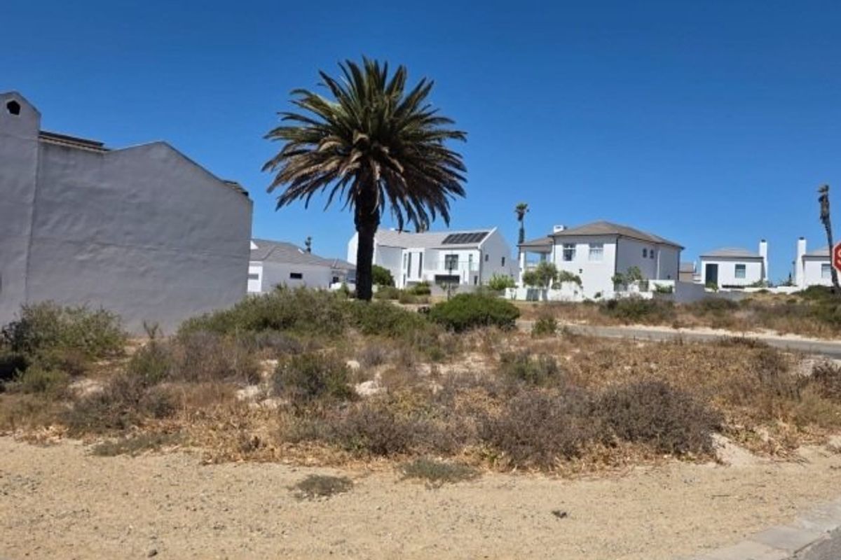A street-level view of a residential neighbourhood featuring sandy landscaping and paved verge areas under a clear blue sky.