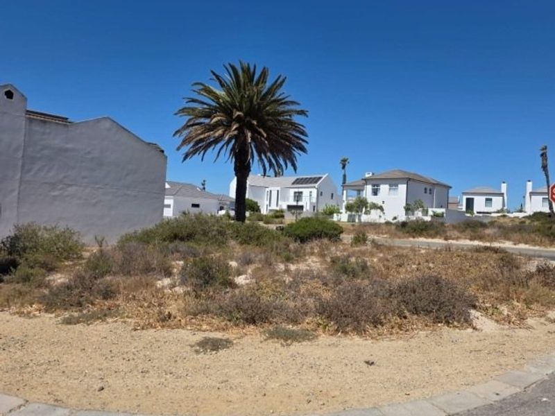 A street-level view of a residential neighbourhood featuring sandy landscaping and paved verge areas under a clear blue sky.