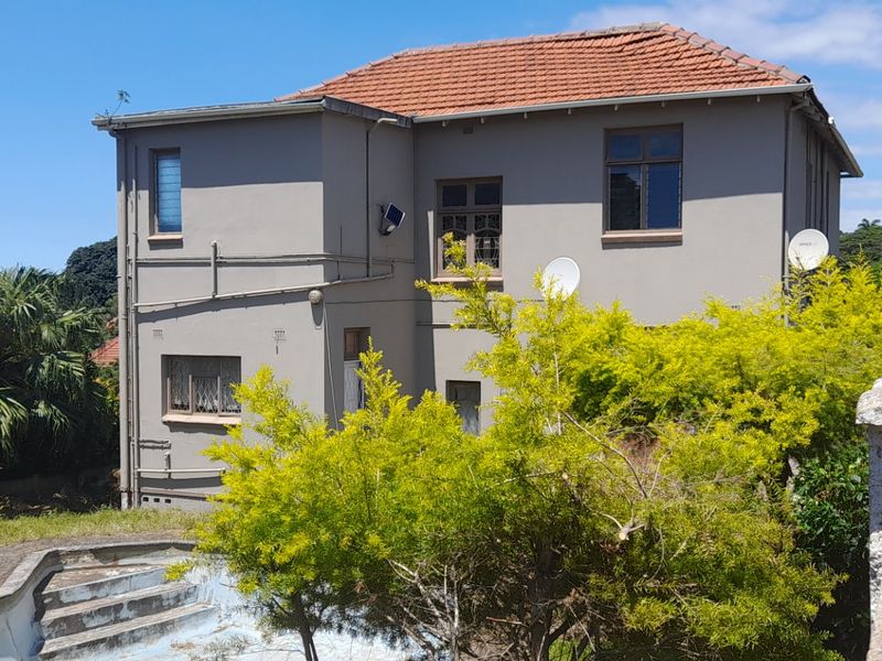 Grand Elegant Lady  - Photo 3