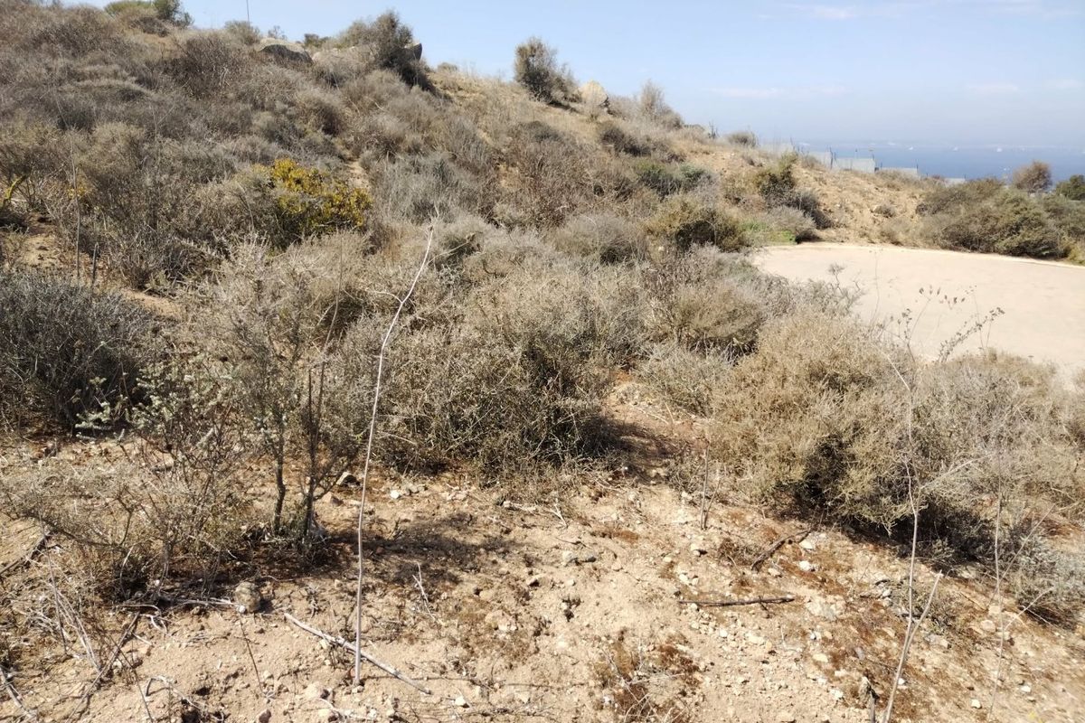 Elevate Your Horizon. Vacant Land in Hoogland Mountain Estate - Photo 4