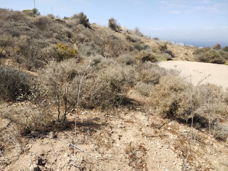 Elevate Your Horizon. Vacant Land in Hoogland Mountain Estate - Photo 4