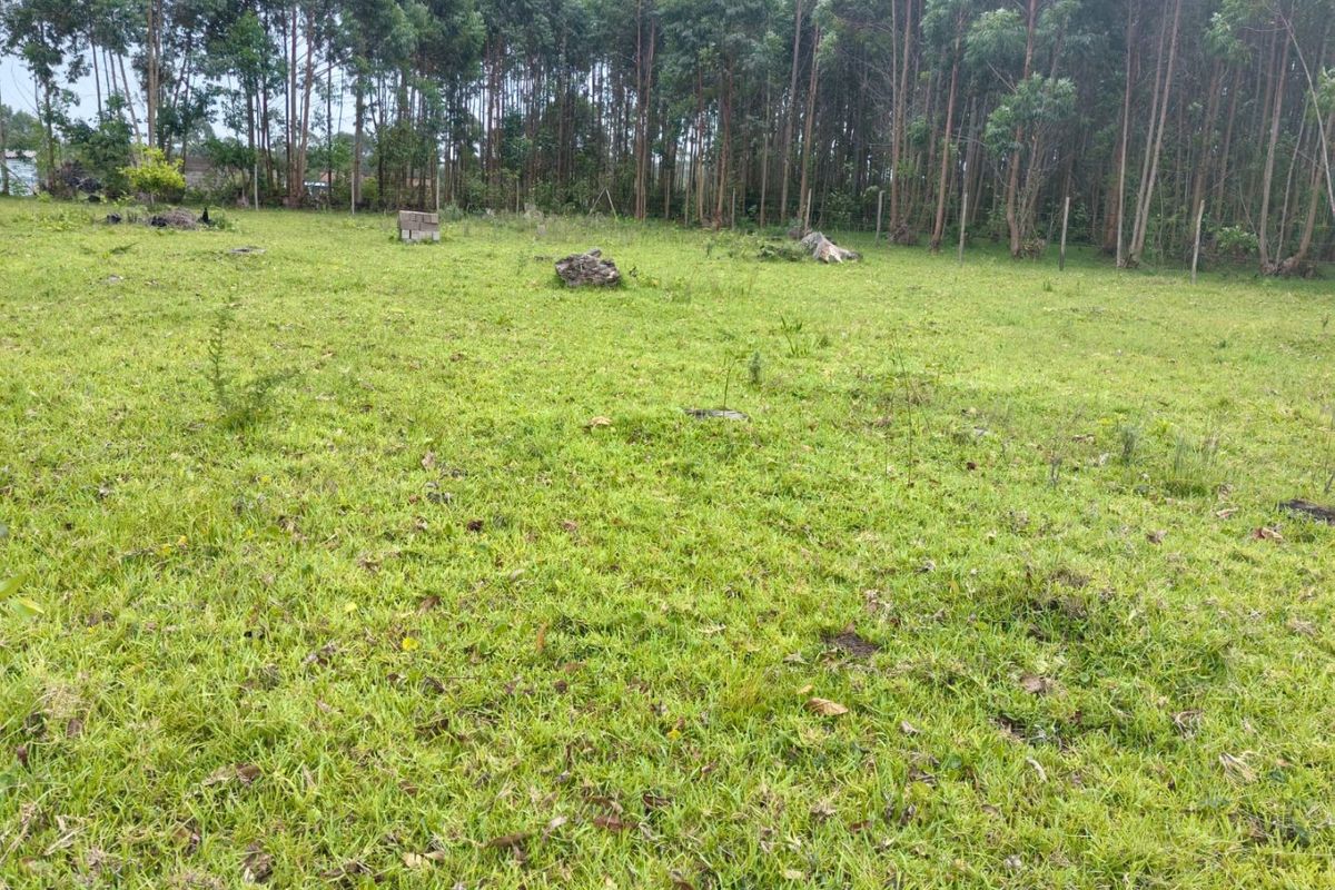 0 Bed Vacant Land in Mzingazi for Sale - Photo 4