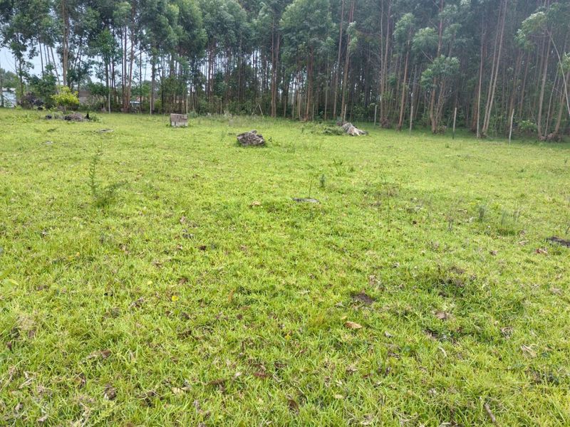 0 Bed Vacant Land in Mzingazi for Sale - Photo 4