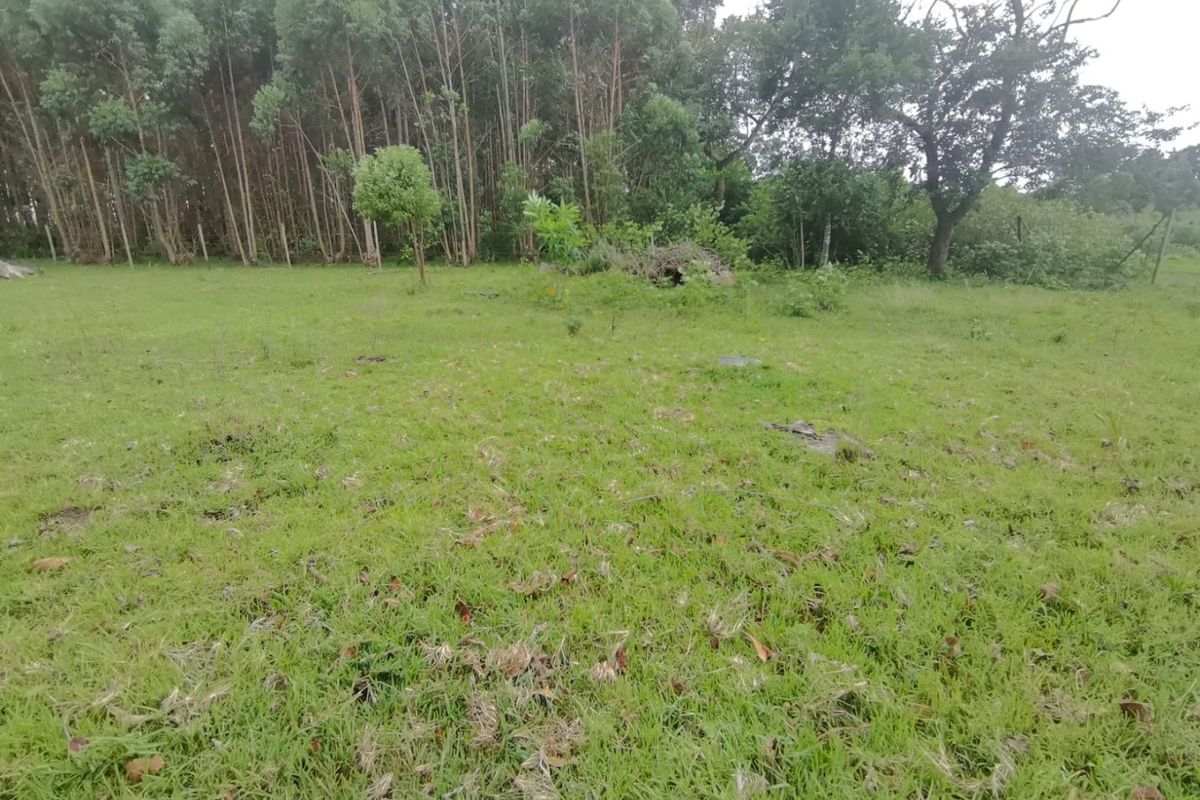 0 Bed Vacant Land in Mzingazi for Sale - Photo 2