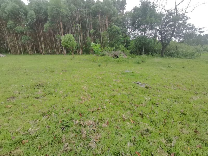 0 Bed Vacant Land in Mzingazi for Sale - Photo 2