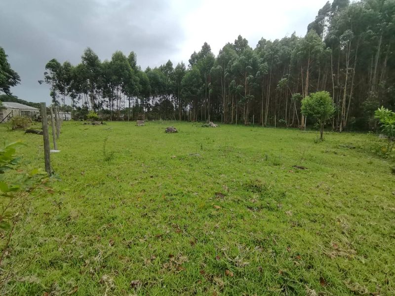 0 Bed Vacant Land in Mzingazi for Sale - Photo 10