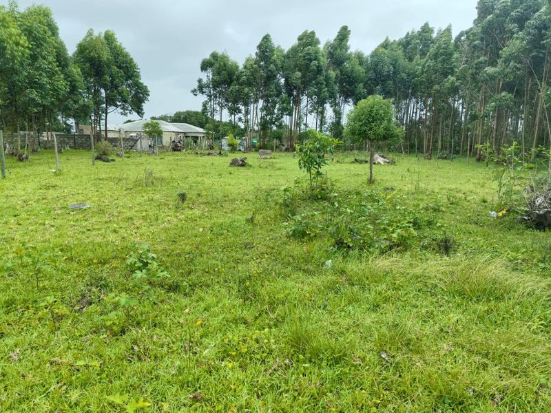 0 Bed Vacant Land in Mzingazi for Sale - Photo 9
